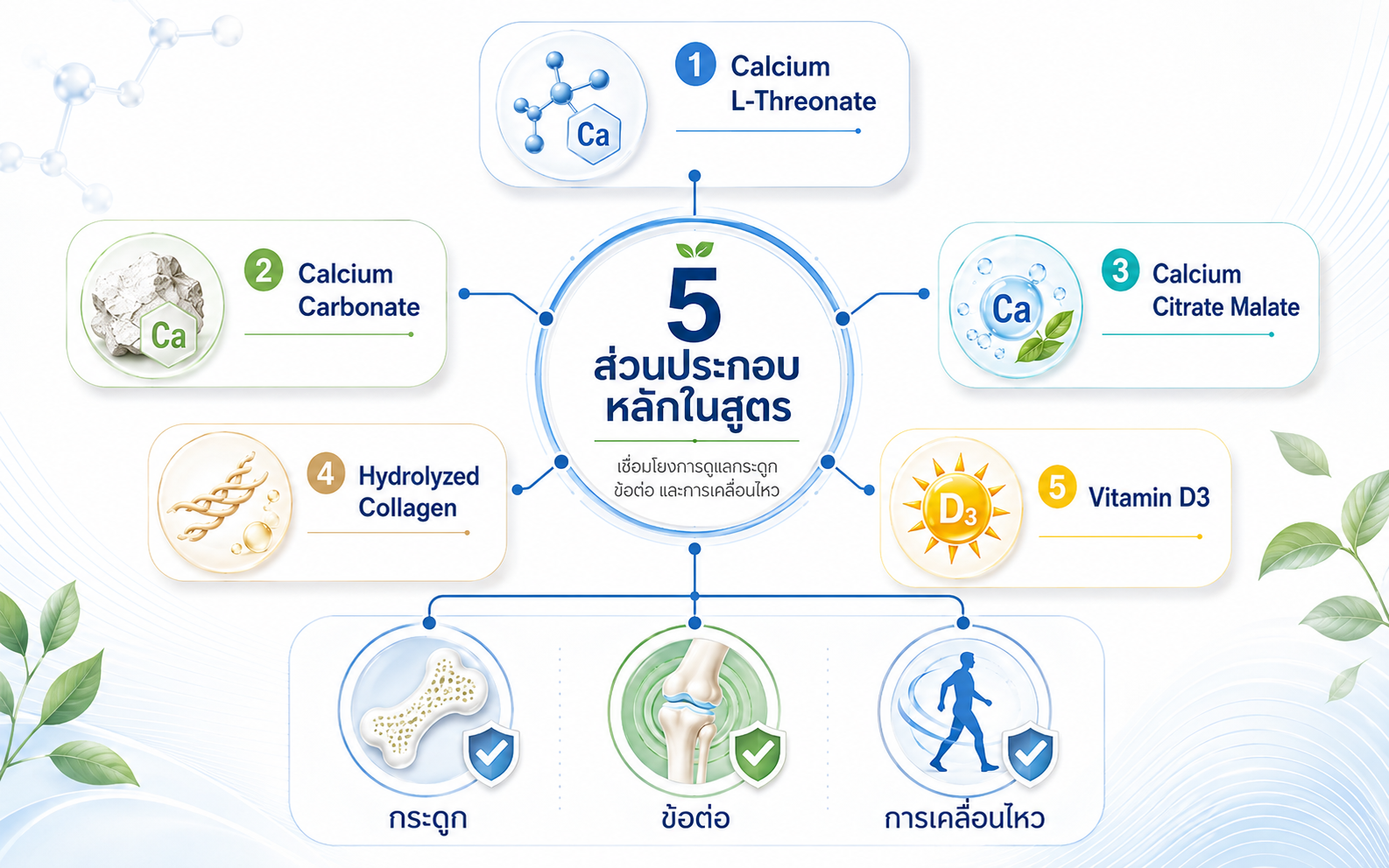 triple-calcium-collagen-vitamin-d3-formula ส่วนประกอบ Triple Calcium Plus Collagen Type II แคลเซียม 3 รูปแบบ คอลลาเจน และวิตามินดีสามส่วนประกอบ Triple Calcium Plus Collagen Type II แคลเซียม 3 รูปแบบ คอลลาเจน และวิตามินดีสาม