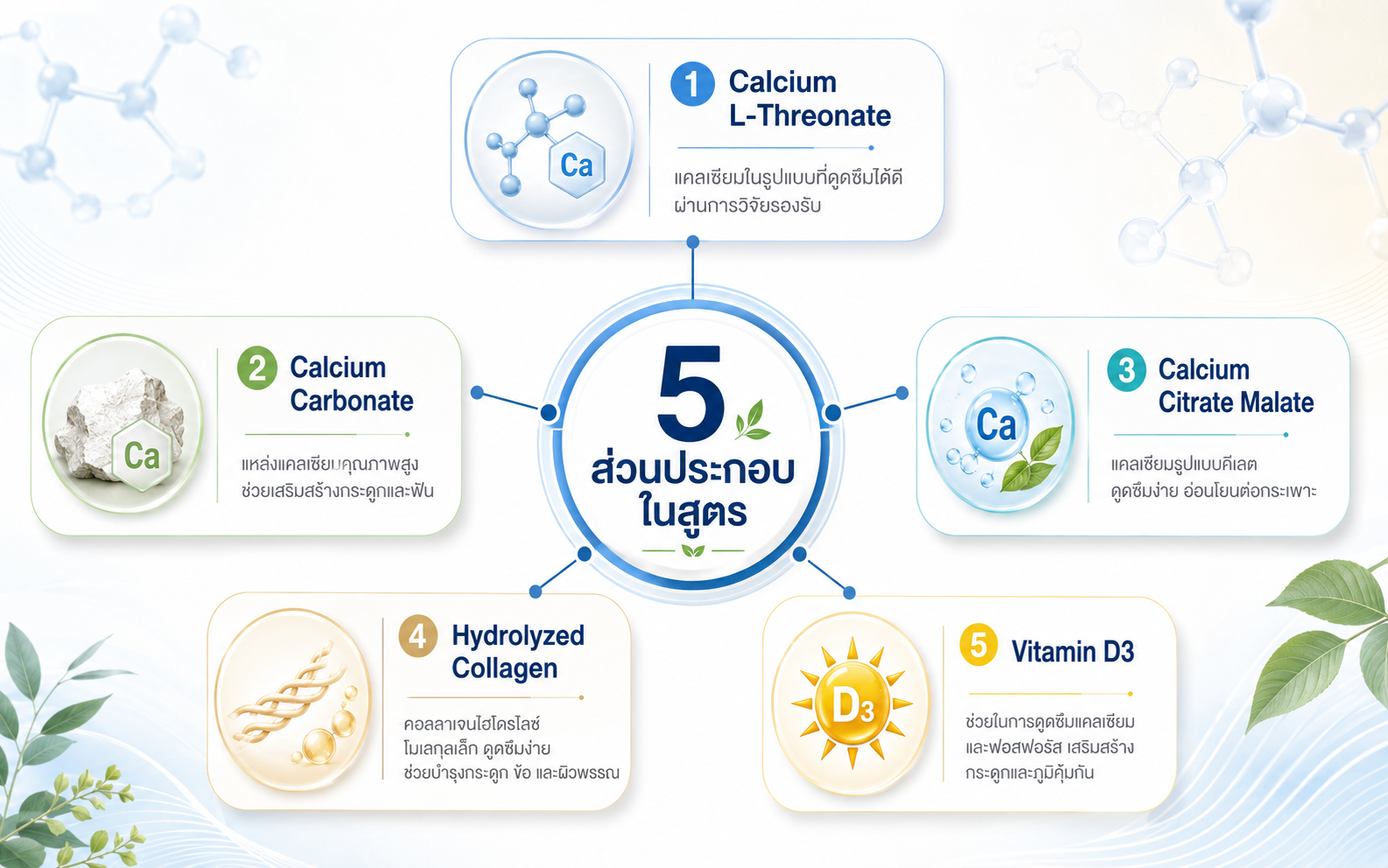 triple-calcium-plus-collagen-type-ii-ingredients-2