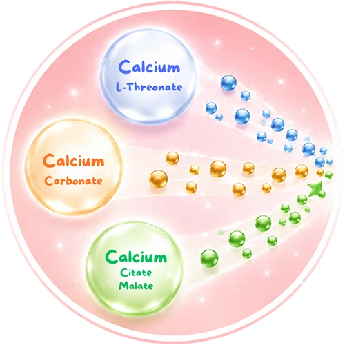 trical-plus-3-calcium-sources-illustration ภาพแคลเซียม 3 รูปแบบ Calcium L-Threonate Calcium Carbonate และ Calcium Citrate Malate ใน TRICAL Plus